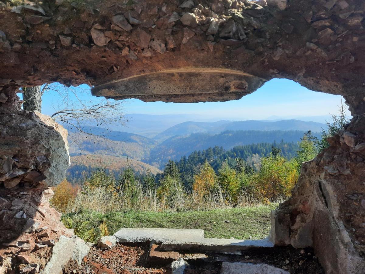 Domek Ostoja Lomnica  Екстер'єр фото